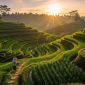 Bali Photography Tour