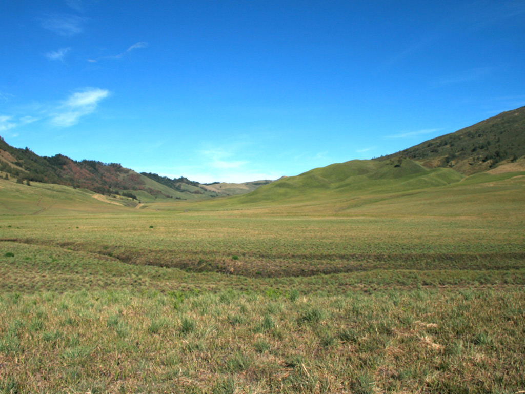 Bromo Savana
