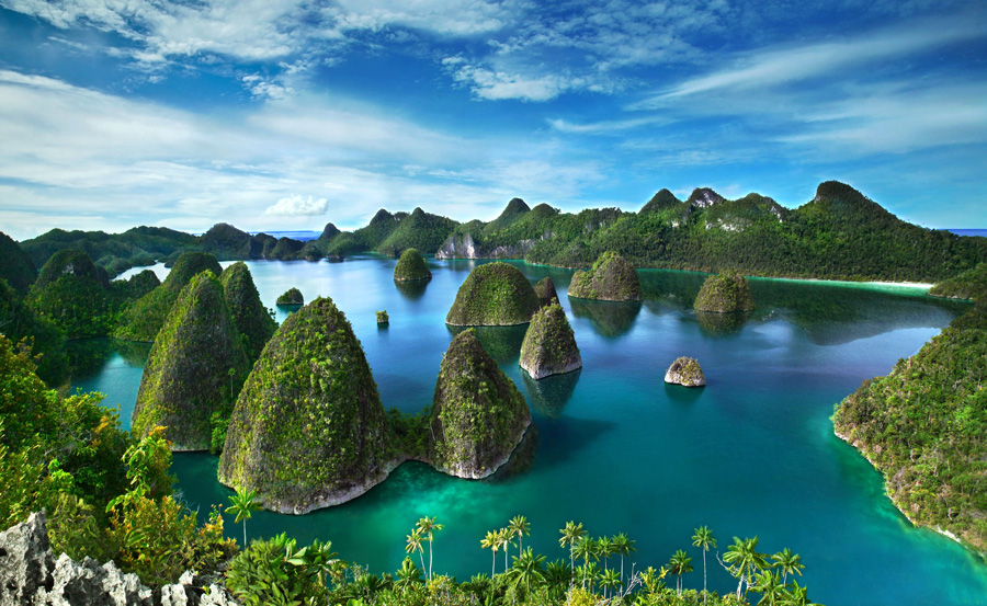 Travel to Raja Ampat Papua by Bali Tour