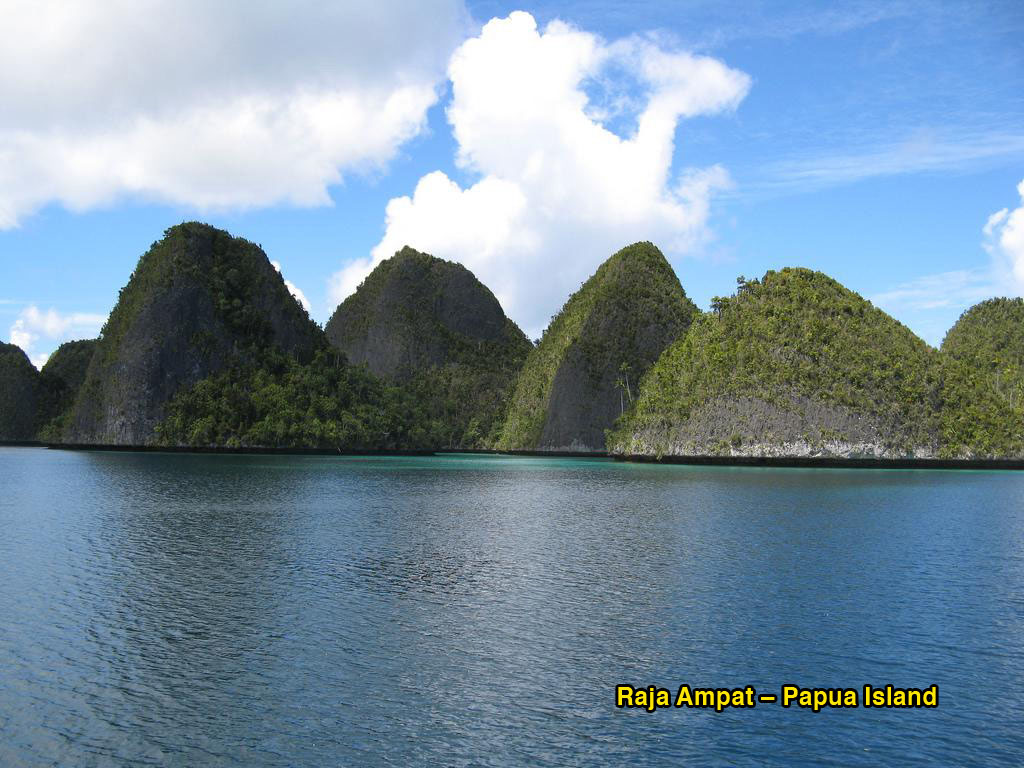 raja ampat gallery balitour5