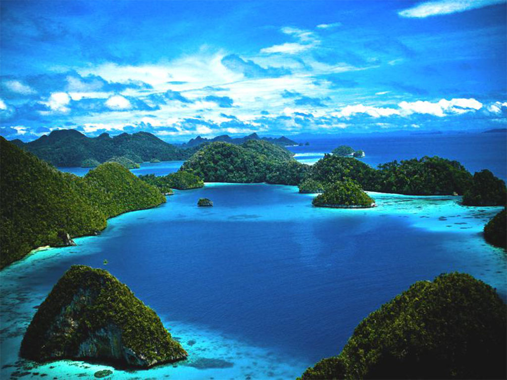 raja ampat gallery balitour7