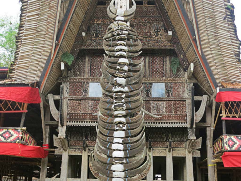 Experiencing Tana Toraja: Culture, Comfort, and Responsible Tourism