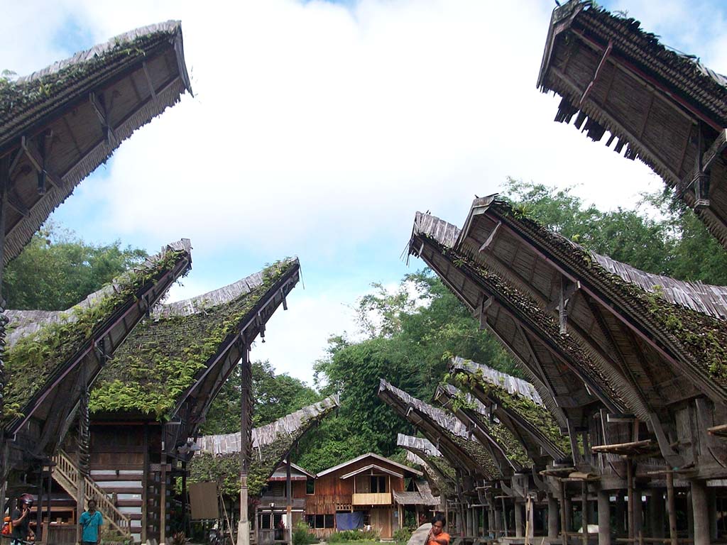 From Pa'piong to World-Class Arabica: A Culinary Tour of Tana Toraja