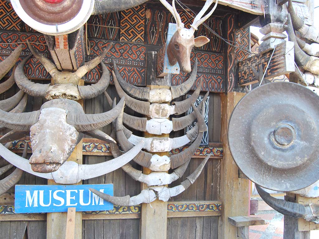 Sulawesi's Secret Highlands: A Journey to the Heart of Tana Toraja