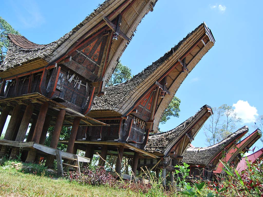 Tongkonan & Tau-Tau: Discover Tana Toraja's Unique Ancestral Architecture