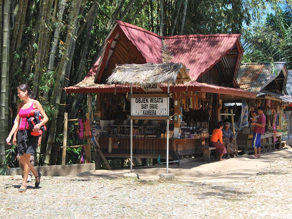 Trekking the Sulawesi Highlands: Your Ultimate Tana Toraja Travel Guide