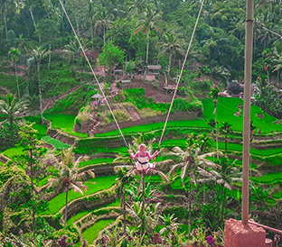 tour_box_5 bali swing